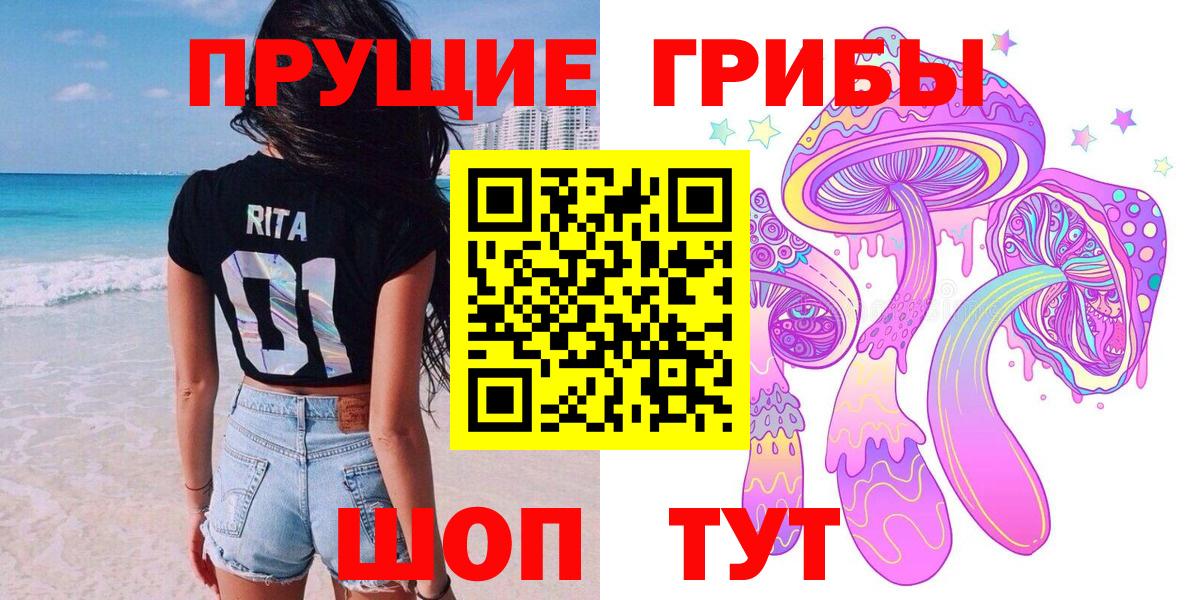 Галлюциногенные грибы Psilocybine cubensis  Вход с VPN  Ялуторовск  что такое наркотик  Псилоцибиновые грибы прущие грибы 