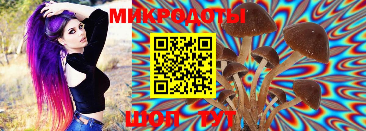 Галлюциногенные грибы Psilocybine cubensis Ялуторовск